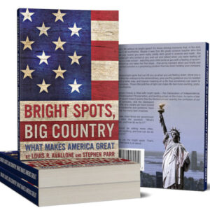 <em>Bright Lights, Big Country: What Makes America Great</em> Paperback